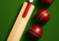 Exporting Cricket bats from India